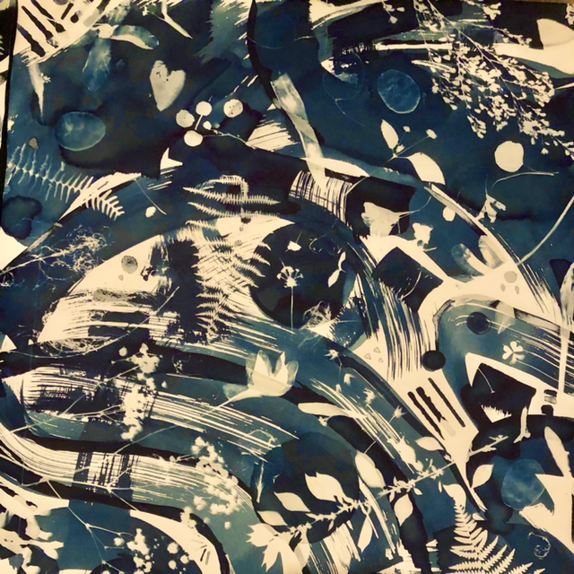 Cyanotype - Le Regard