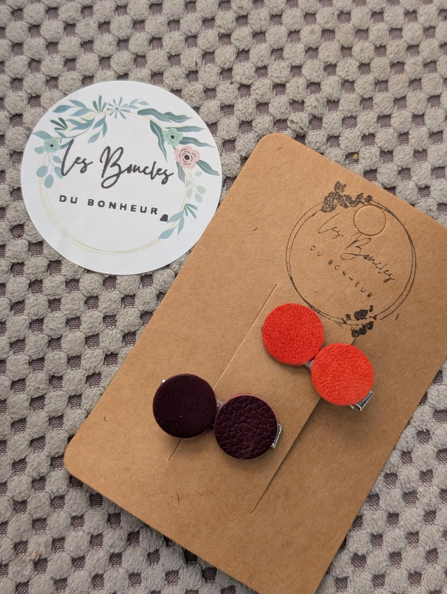 Barrette b056