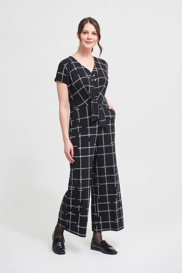 JOSEPH RIBKOFF HAALARI