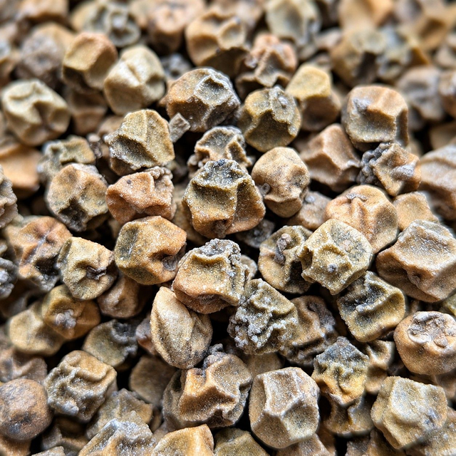 Poivre vert déshydraté de Madagascar – 25 g