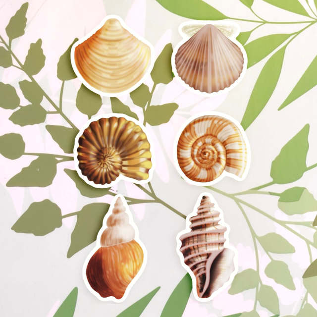 Coquillages - Stickers
