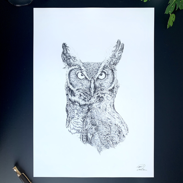 Wise Owl print