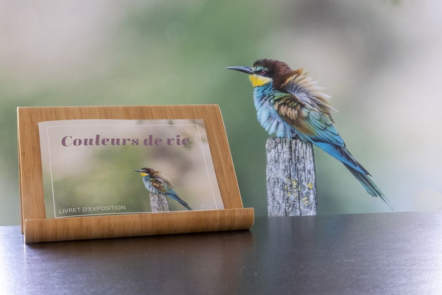 Livret Couleurs de vie