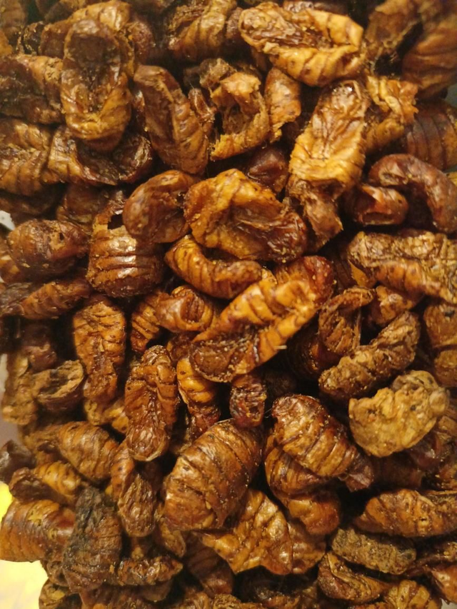 Dried silkworm pupae