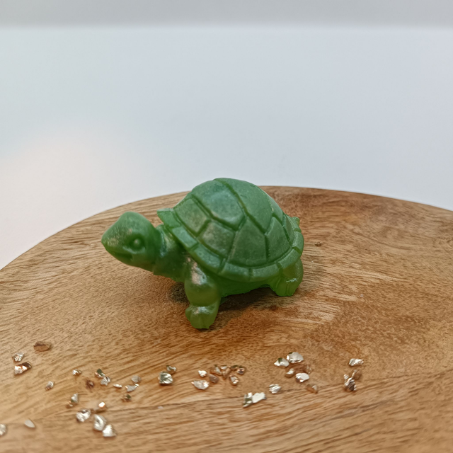 Tortue - Vert Clair