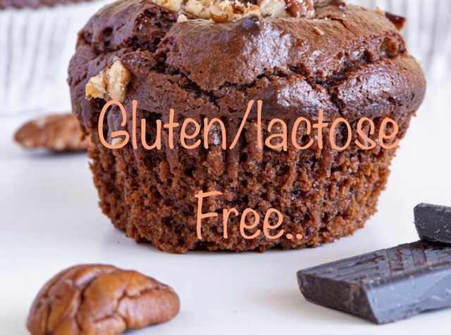 Fondant Bio Choco – Gâteau au Chocolat Sans Gluten et Sans Lactose