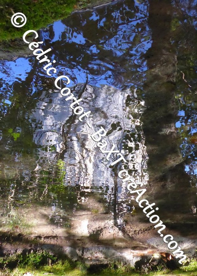 Carte postale - Reflets et cours d'Eau (Ref P1190112)