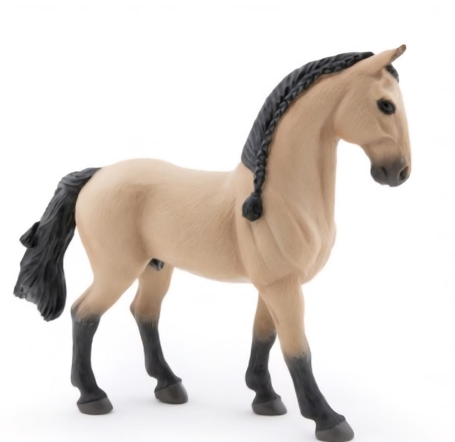 Cheval Lusitanien

51569