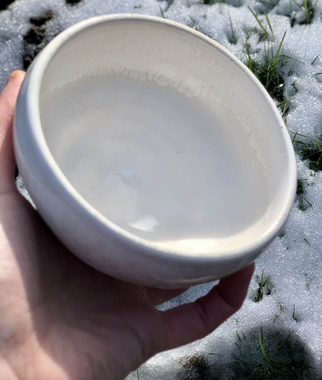 Bol porcelaine et email lippizan