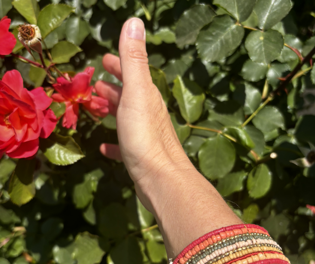 Brazalete tejido mostacilla tierra