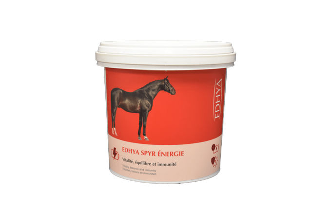 Edhya SPYR ENERGIE 1 kg