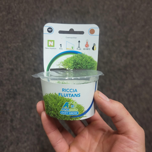 Easygrow Riccia Fluitans 8715897322730