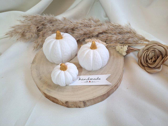 Deko Set Kürbisse 