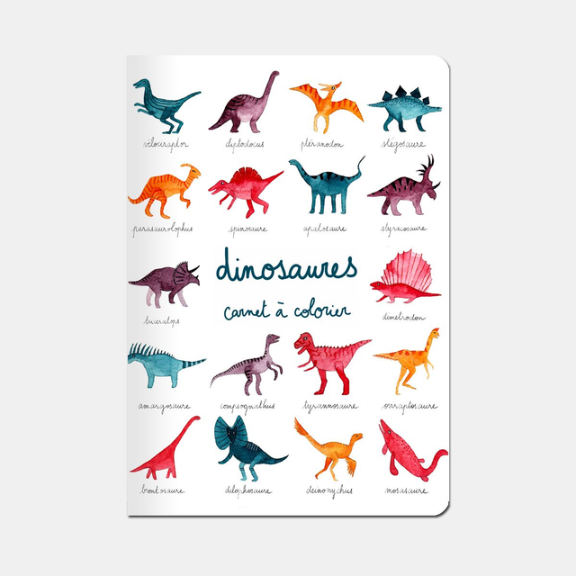 Carnet de coloriage "dinosaures"