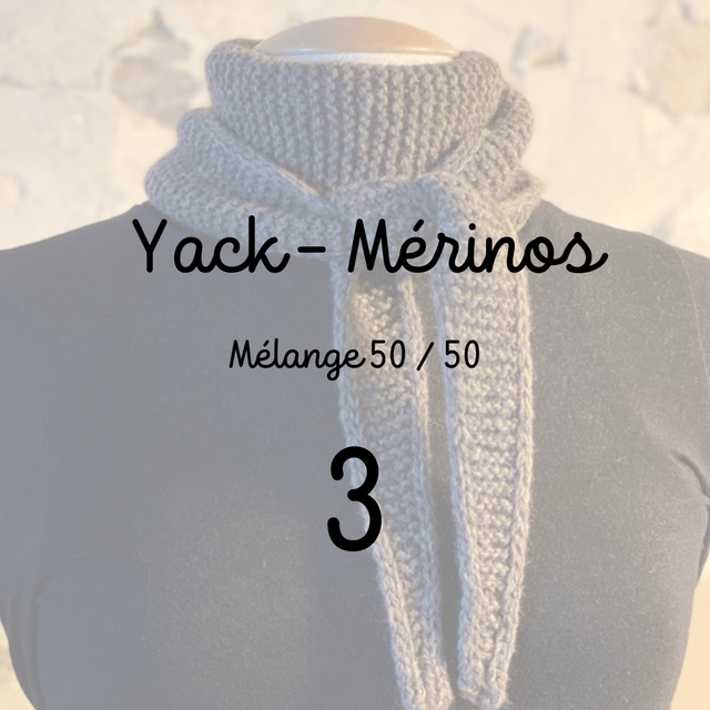 Yack - Mérinos 3 Fils 2026