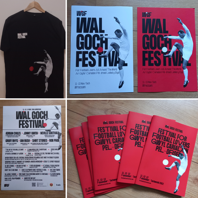 Sypyn yr Ŵyl | Festival bundle