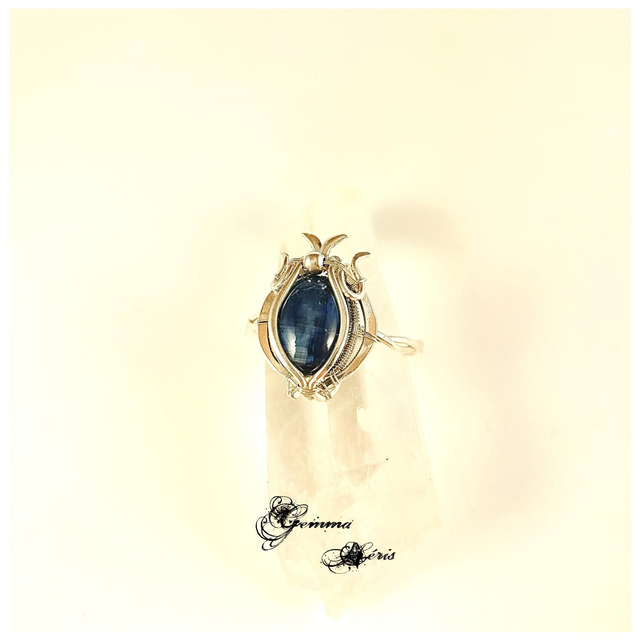 Neptune - ou l'hommage à la nature impétueuse T 62