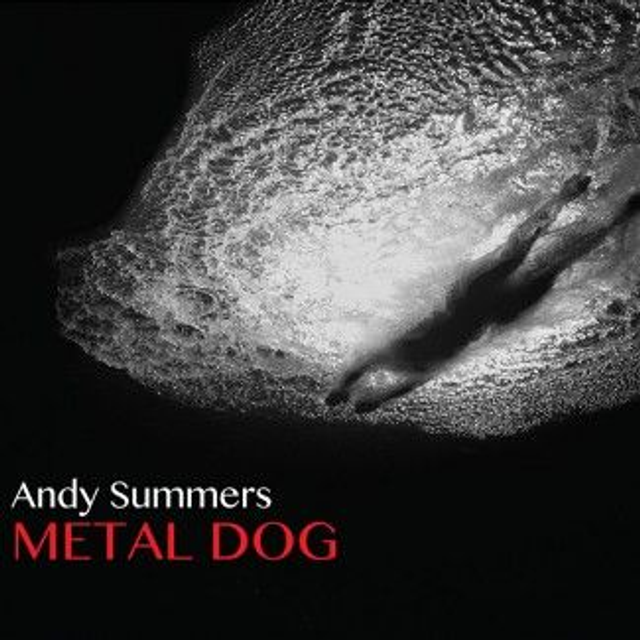 Andy Summers, Metal Dog
