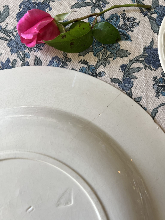 PLAT AUX OISEAUX 2 - Grand Plat Creux aux Oiseaux par la manufacture française de Gien - Terre de Fer