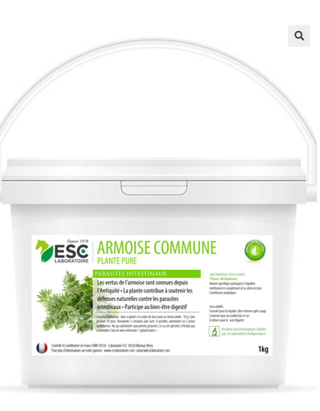 ARMOISE – Parasites intestinaux cheval – Plante pure