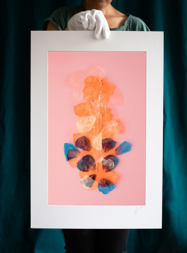 Fleurs éternelles - 3