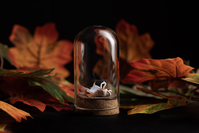 Collection Automne 2025 - Lecture cosy  [ SOLD OUT]