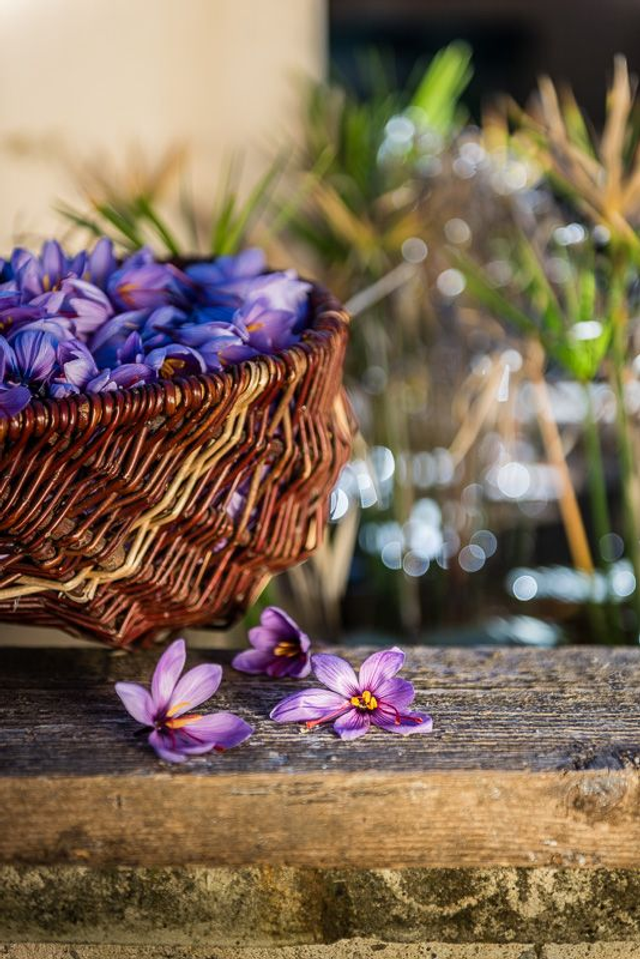 Pour quelques grammes 