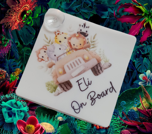 Baby on Board sign