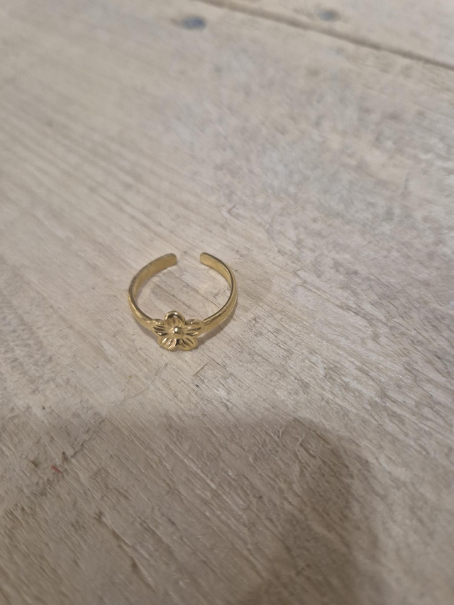 Bague acier inoxydable