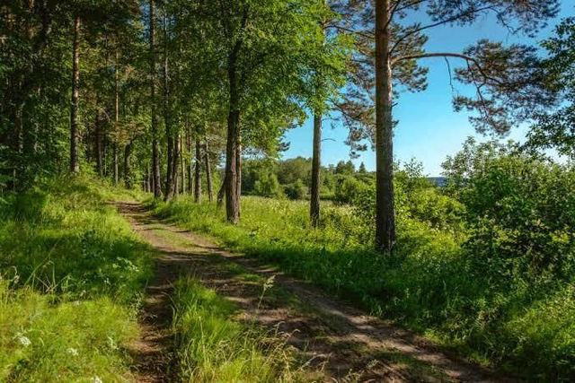 GWEN Balade + acacia 