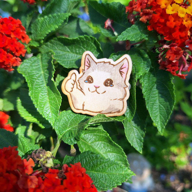 Meme Cat 1 – Pins bois