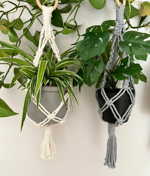 Short 321 Plant Hangers