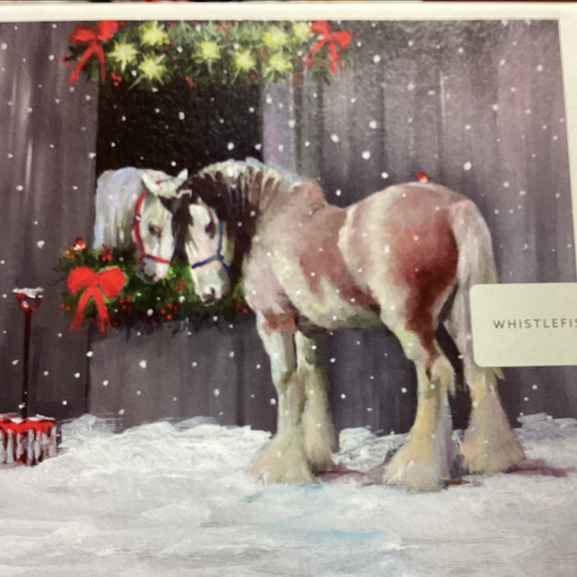 Christmas Open Whistlefish- Horses meeting over stable door