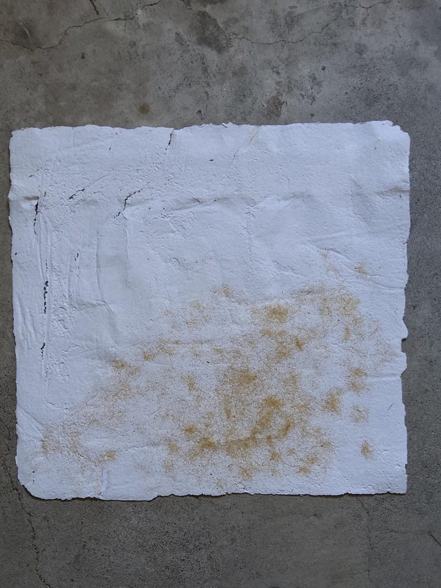 Grand Blanc Et Oyats