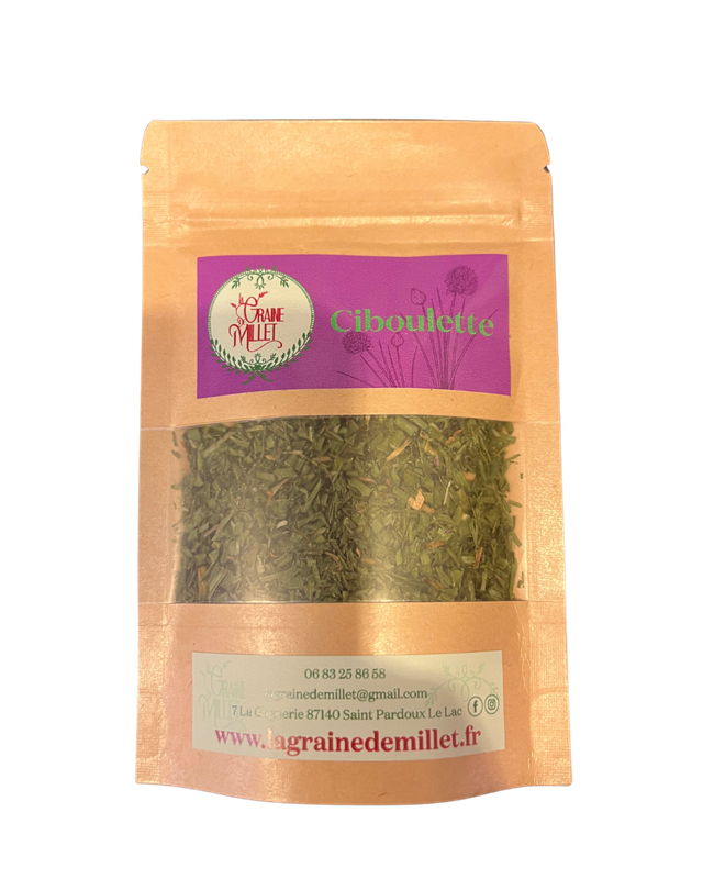 Ciboulette Feuille tubulaire