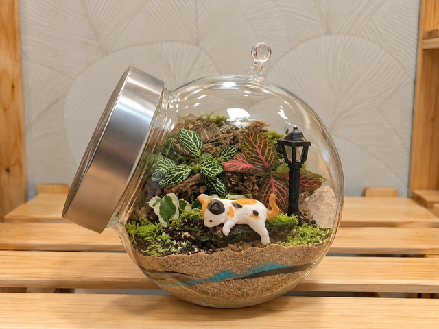 Taller de Terrario
