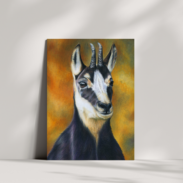 Carte de vœux - Chamois N°1