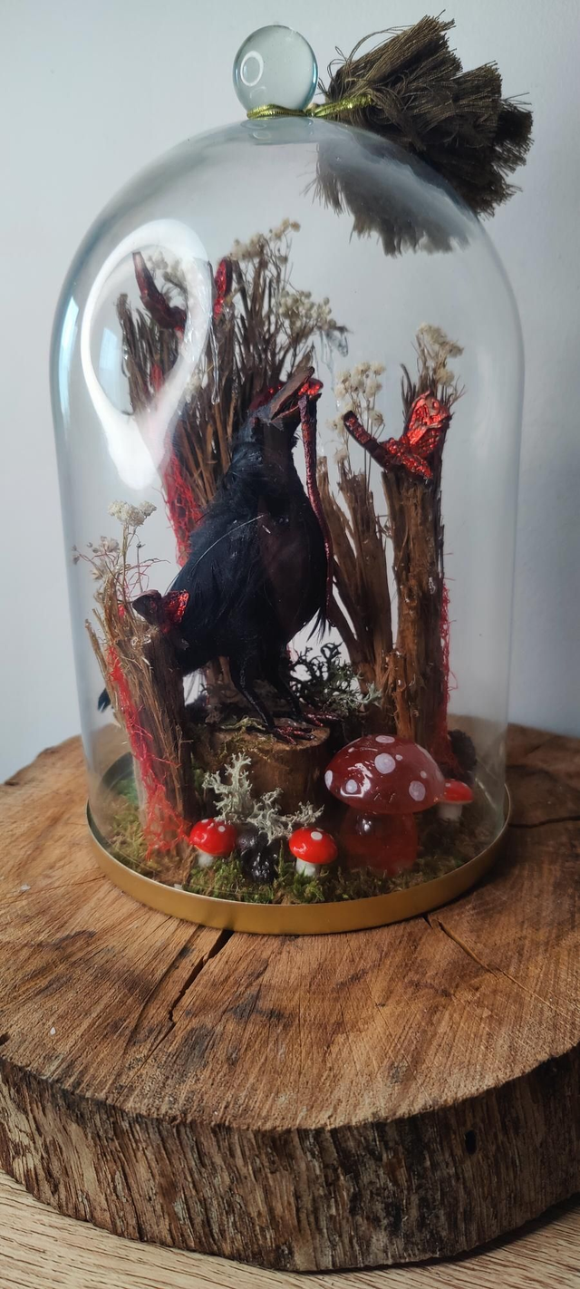 Corbeau mystique sous cloche
