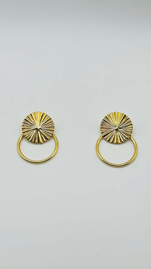 Stainless Steel Earrings (SSE42J)
