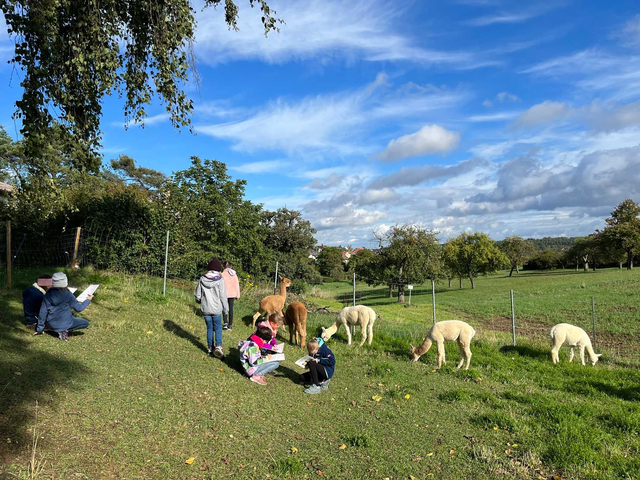 Kindergeburtstag bei Alpakas