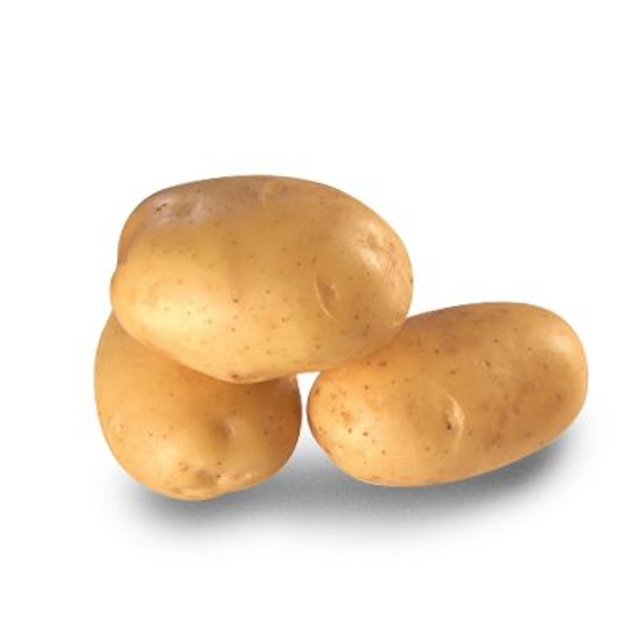 Dolwen – Demi précoce et Très bonne conservation