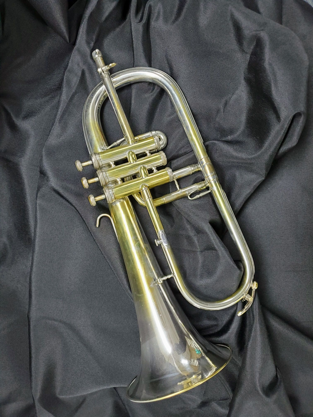Bugle Robert Martin