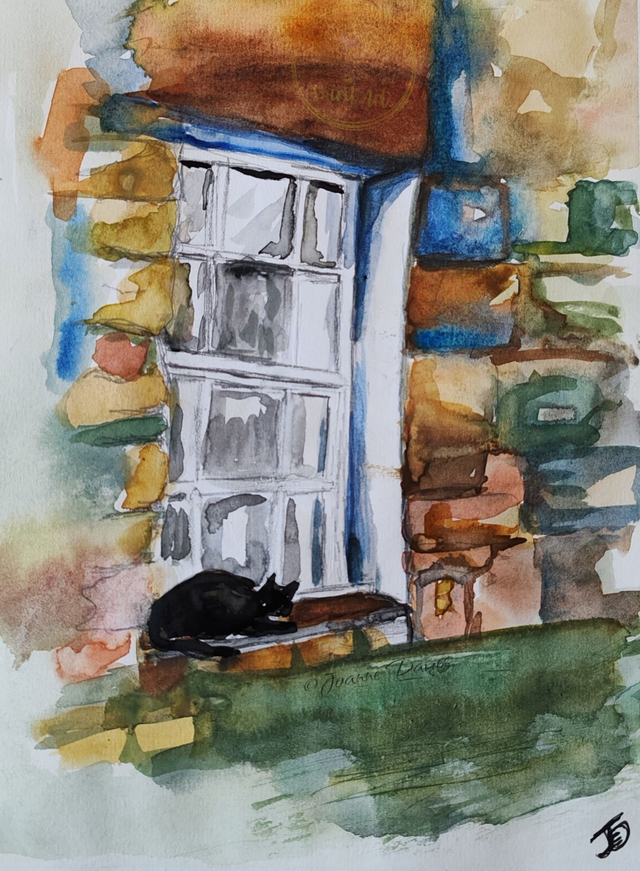 Nieghbourhood Cat Watch