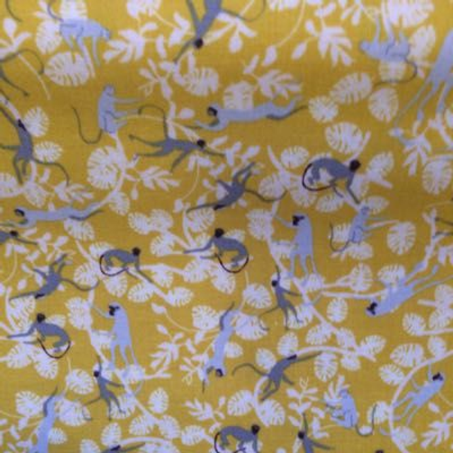 Monkeys In The Forest 247