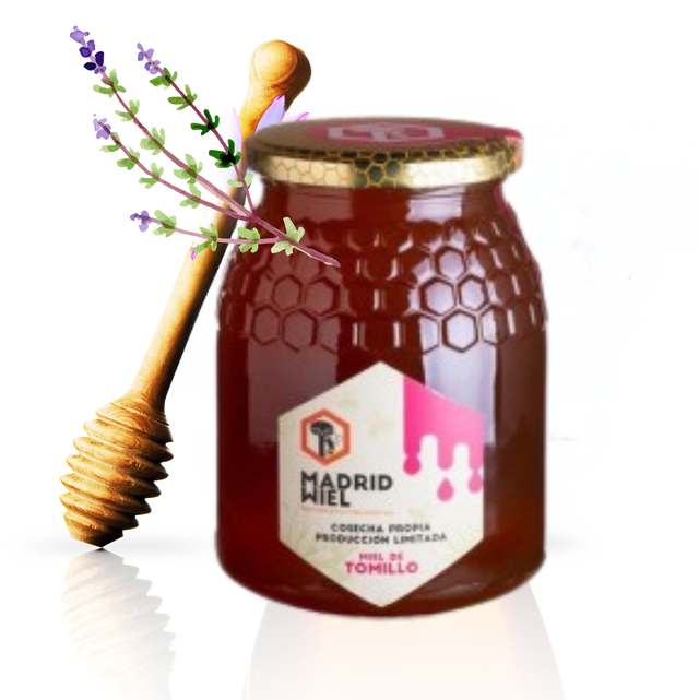 Miel de tomillo