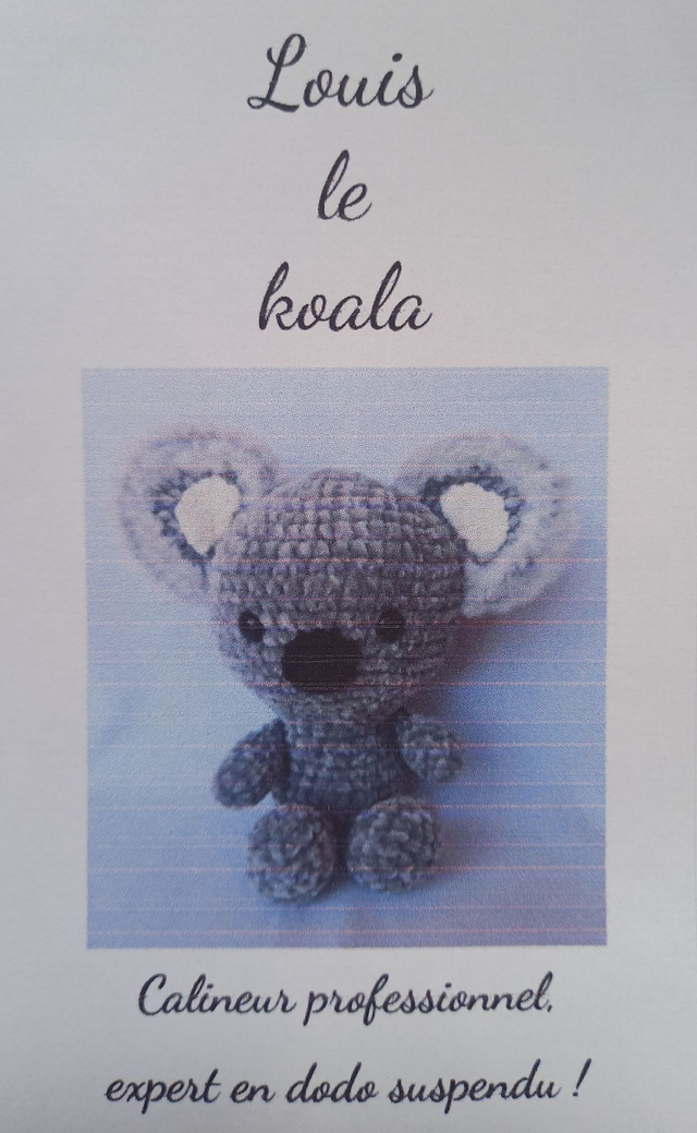 Louis le koala