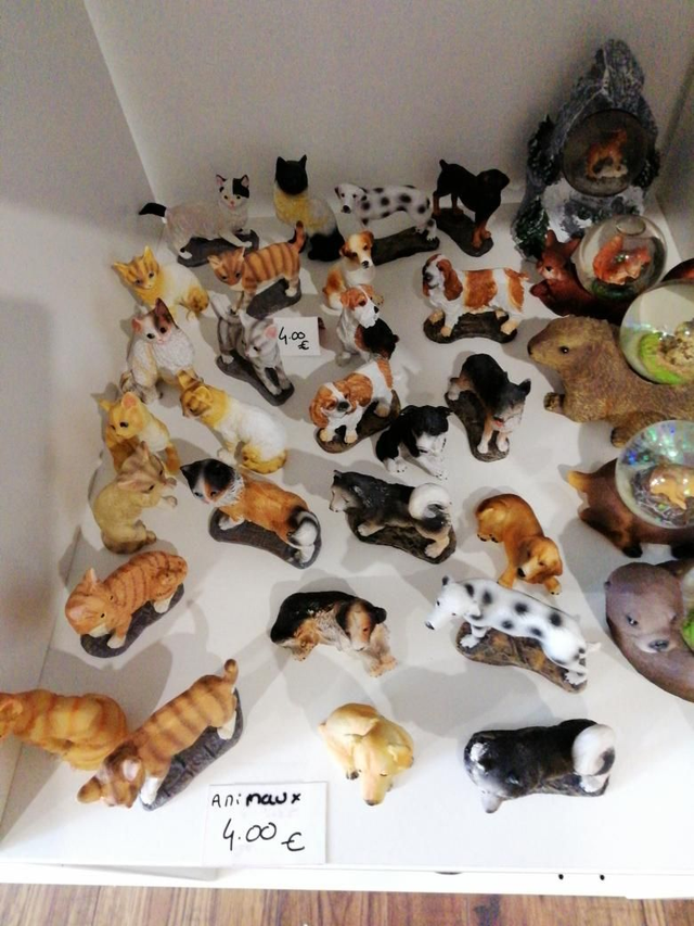 Petit animaux 
