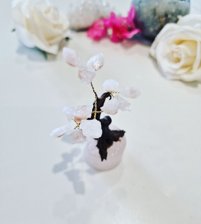 Rose Quartz on Round Rose Quartz Base