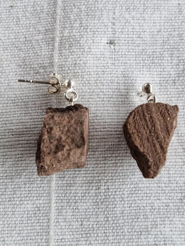 Fossilt - forstenet træ