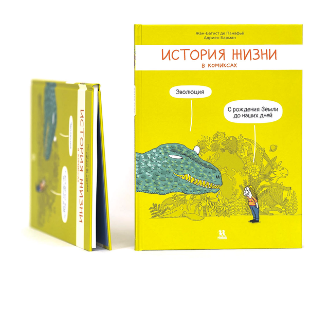 История жизни в комиксах